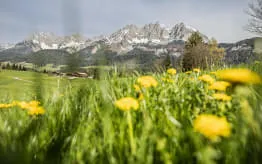 Pfingsten-am-Kitzbueheler-Horn