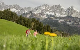 Fruehling-in-den-Kitzbueheler-Alpen